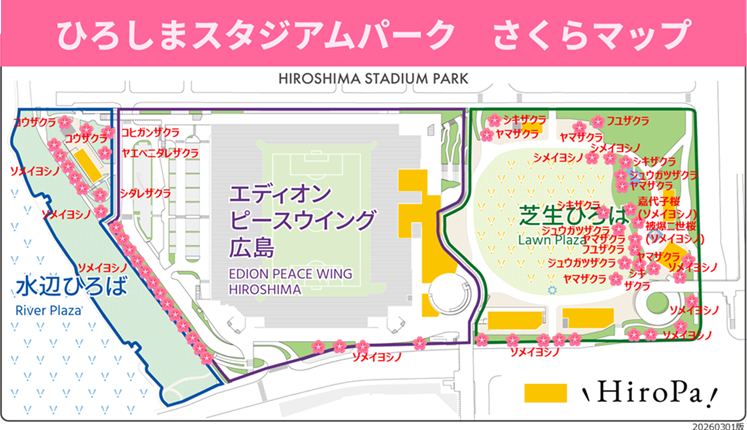 さくらが見ごろを迎えました！ーさくらマップ公開