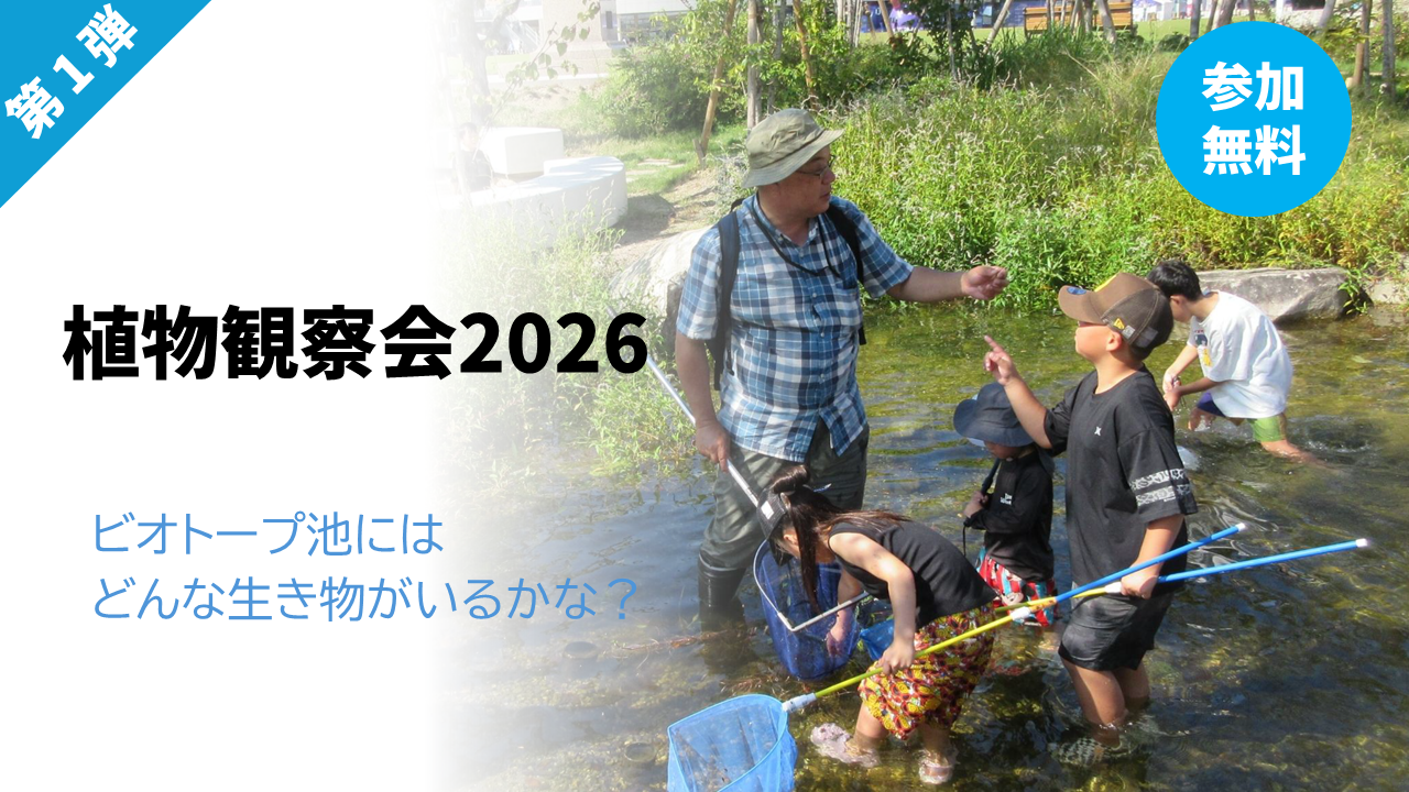 樹木観察会～ビオトープ池にはどんな生き物がいるかな？